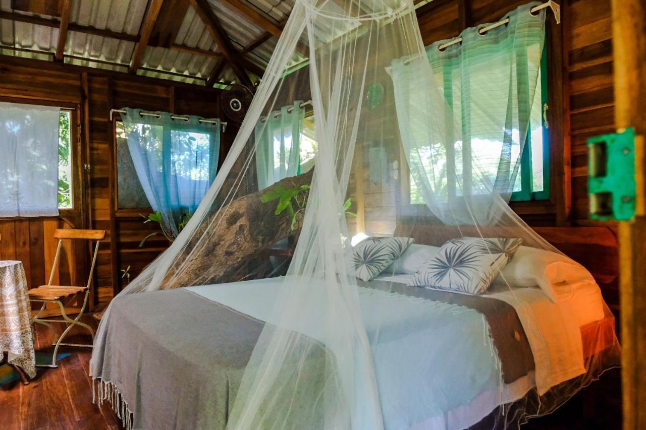 Playa Grande Lodge Cahuita Dış mekan fotoğraf
