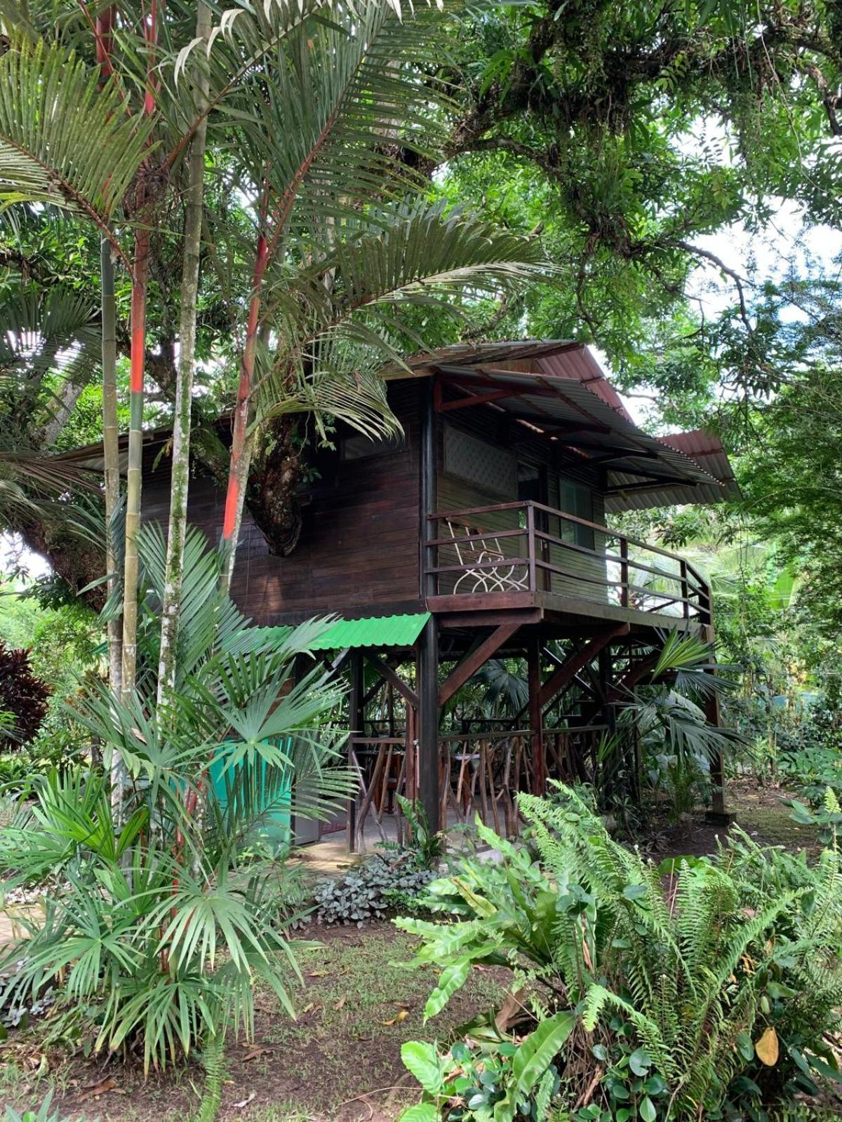 Playa Grande Lodge Cahuita Dış mekan fotoğraf