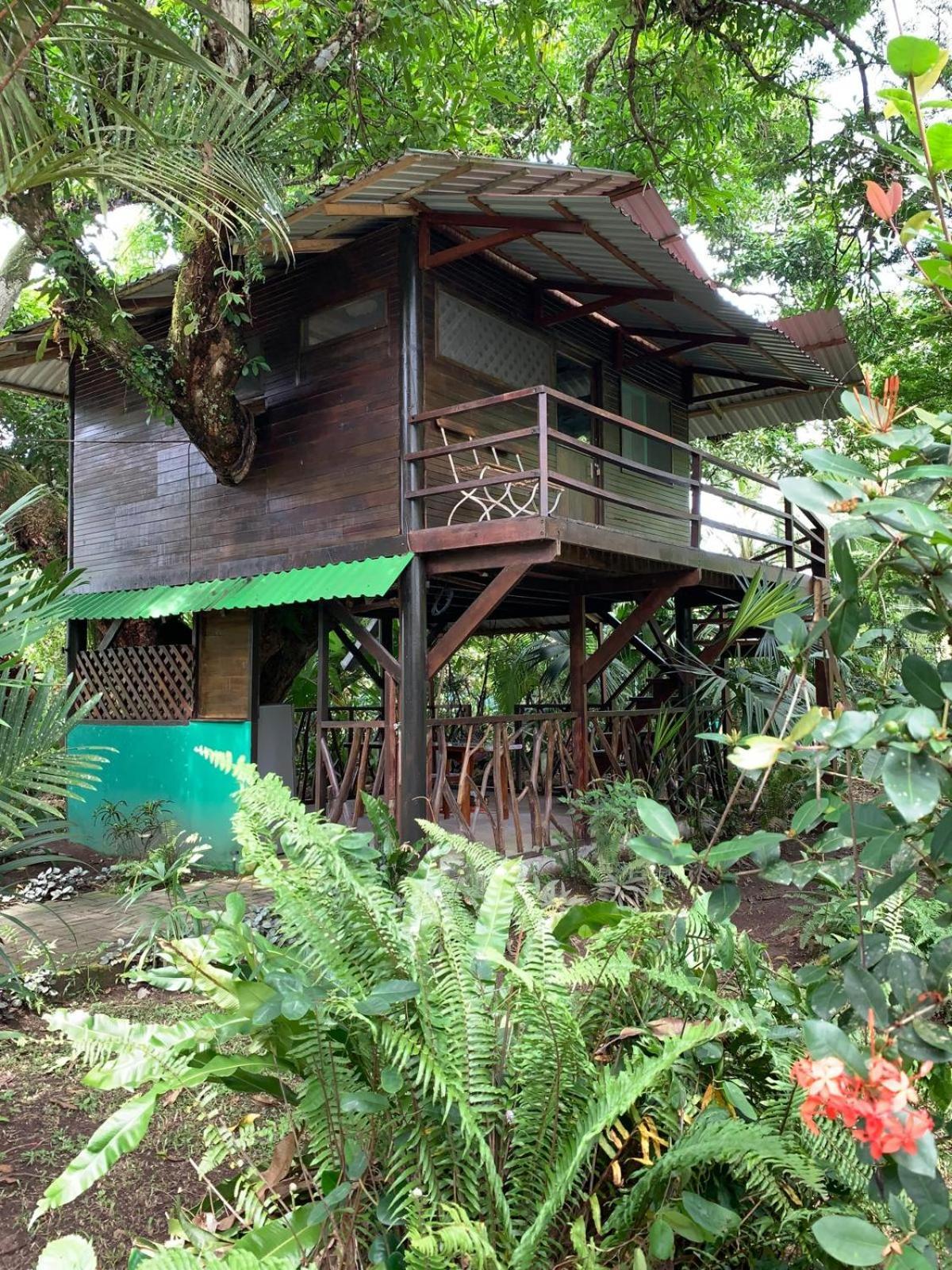 Playa Grande Lodge Cahuita Dış mekan fotoğraf