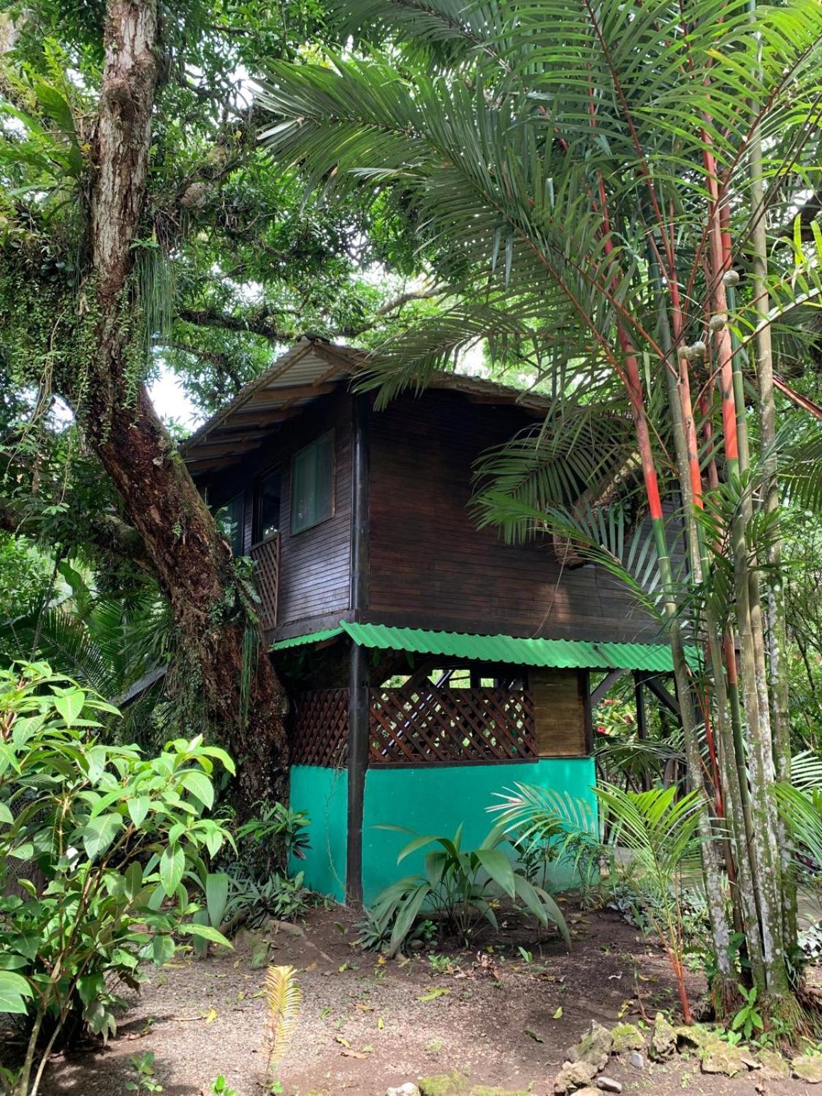 Playa Grande Lodge Cahuita Dış mekan fotoğraf