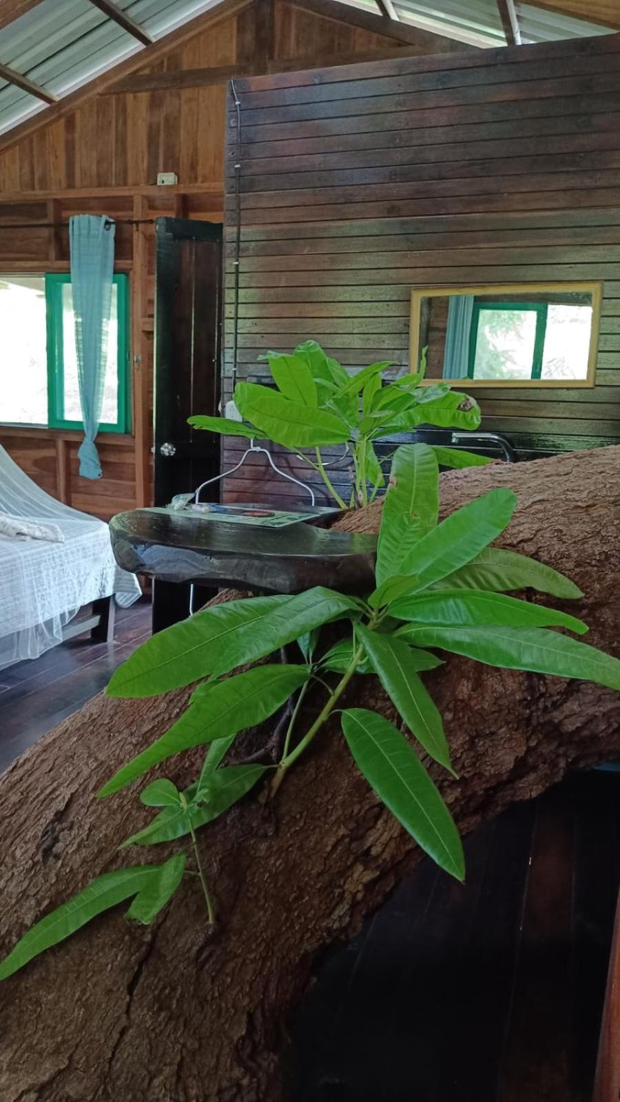 Playa Grande Lodge Cahuita Dış mekan fotoğraf