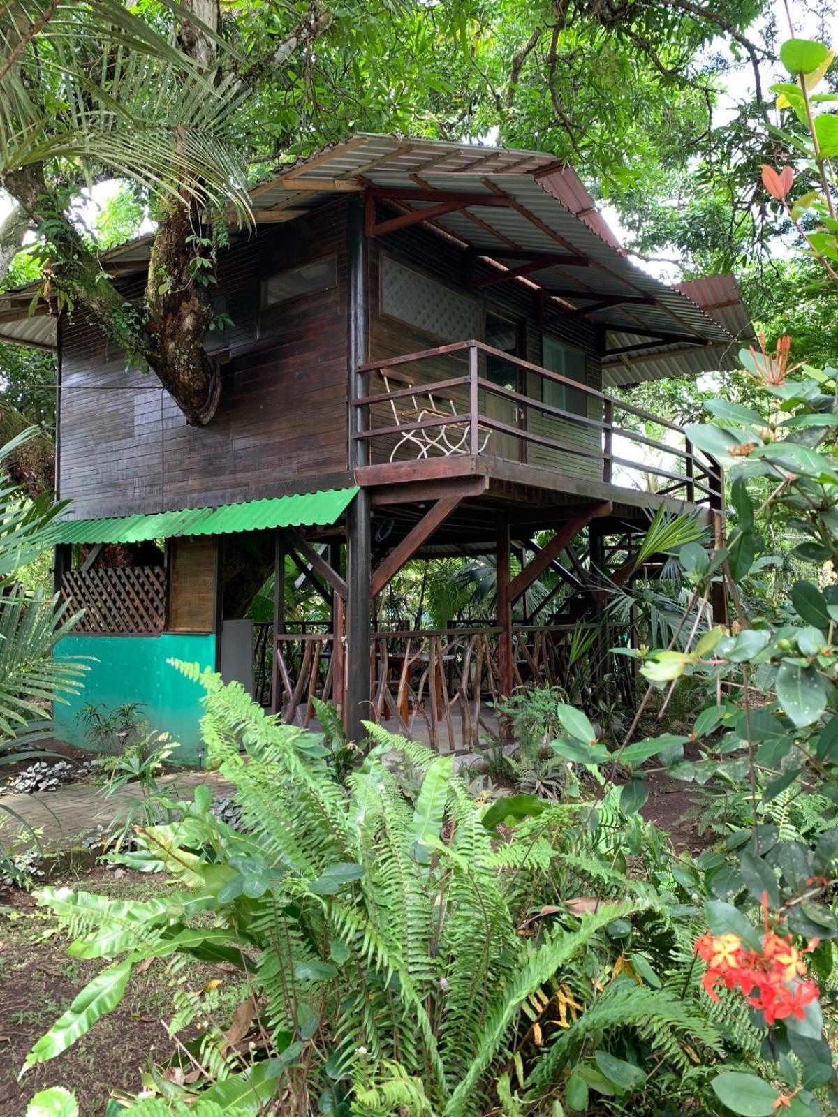 Playa Grande Lodge Cahuita Dış mekan fotoğraf