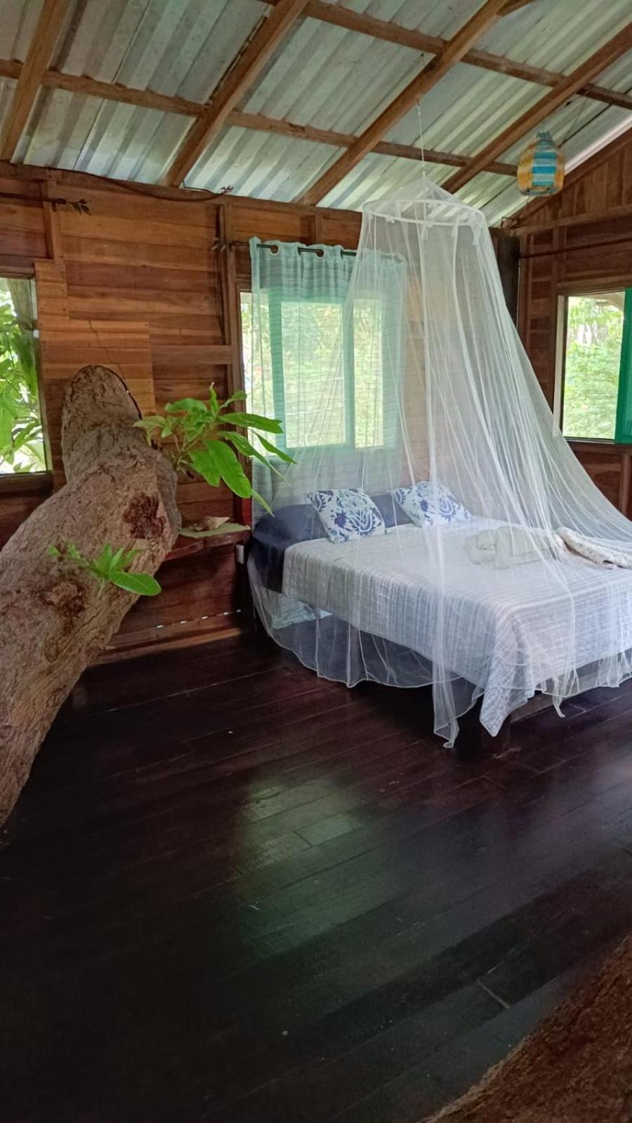 Playa Grande Lodge Cahuita Dış mekan fotoğraf