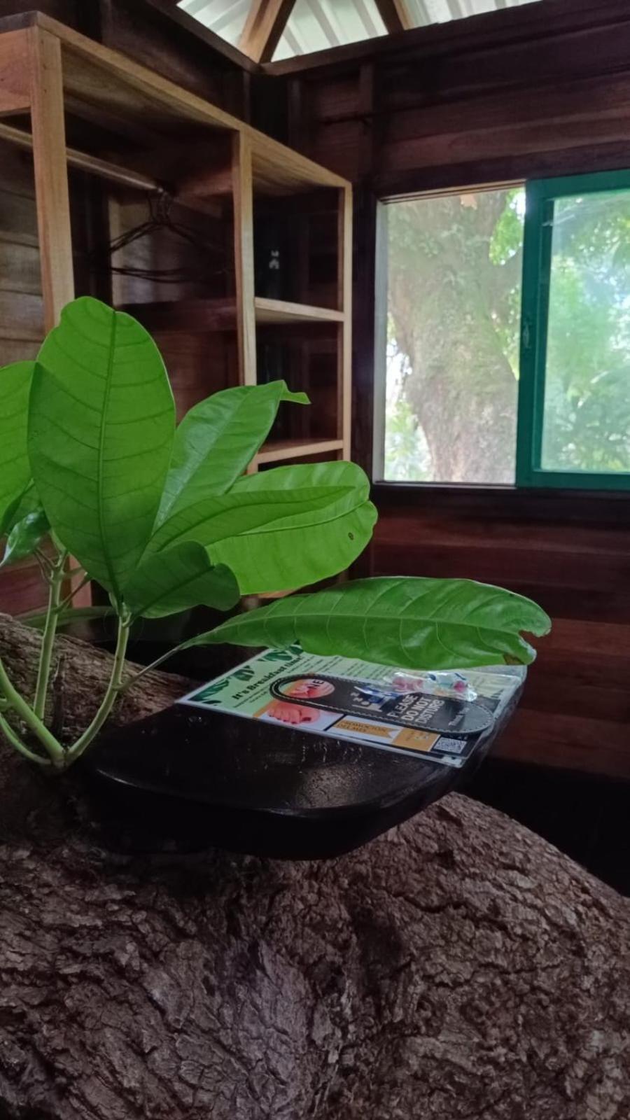 Playa Grande Lodge Cahuita Dış mekan fotoğraf