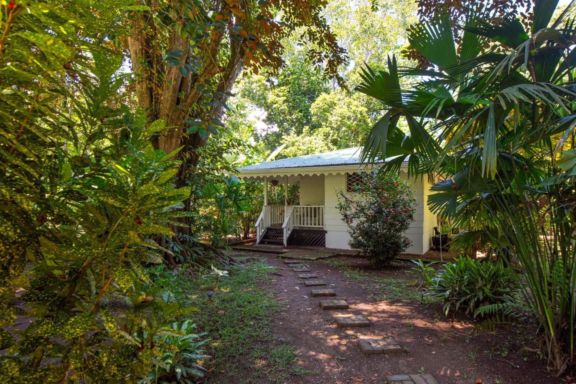 Playa Grande Lodge Cahuita Dış mekan fotoğraf