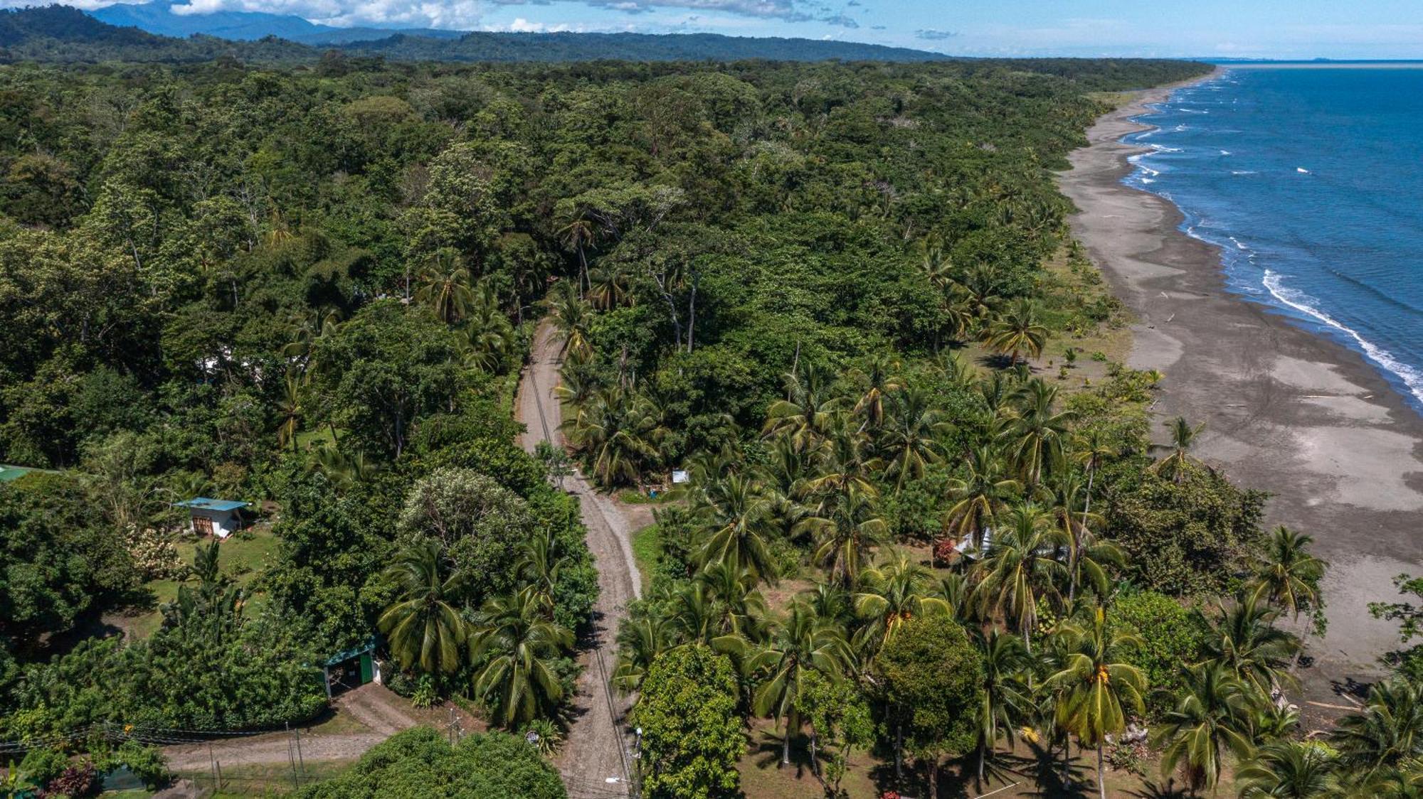 Playa Grande Lodge Cahuita Dış mekan fotoğraf