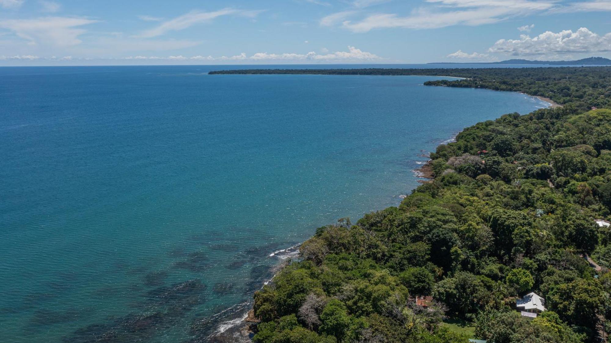 Playa Grande Lodge Cahuita Dış mekan fotoğraf