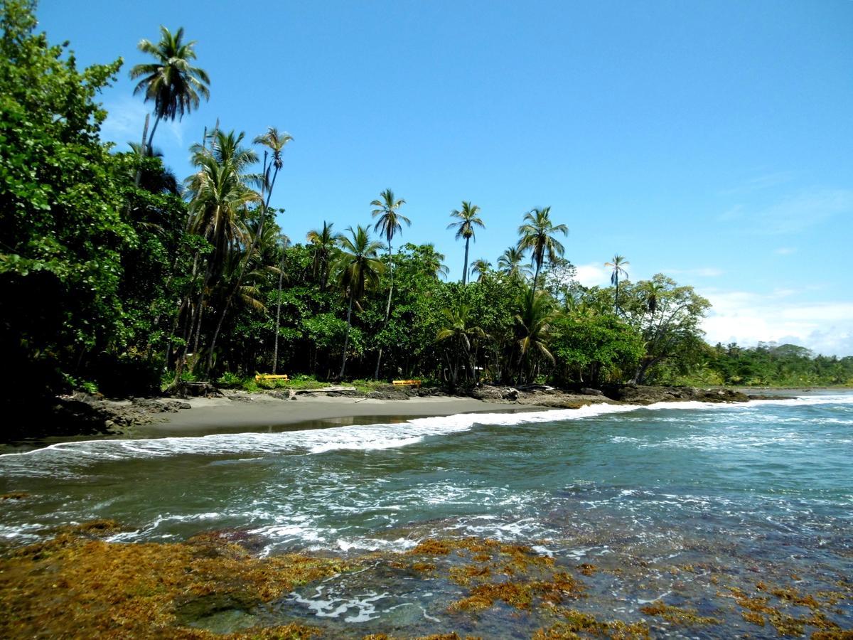 Playa Grande Lodge Cahuita Dış mekan fotoğraf