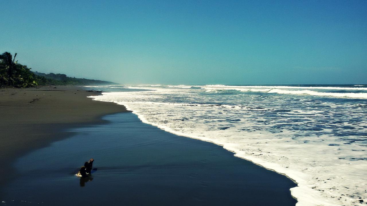 Playa Grande Lodge Cahuita Dış mekan fotoğraf