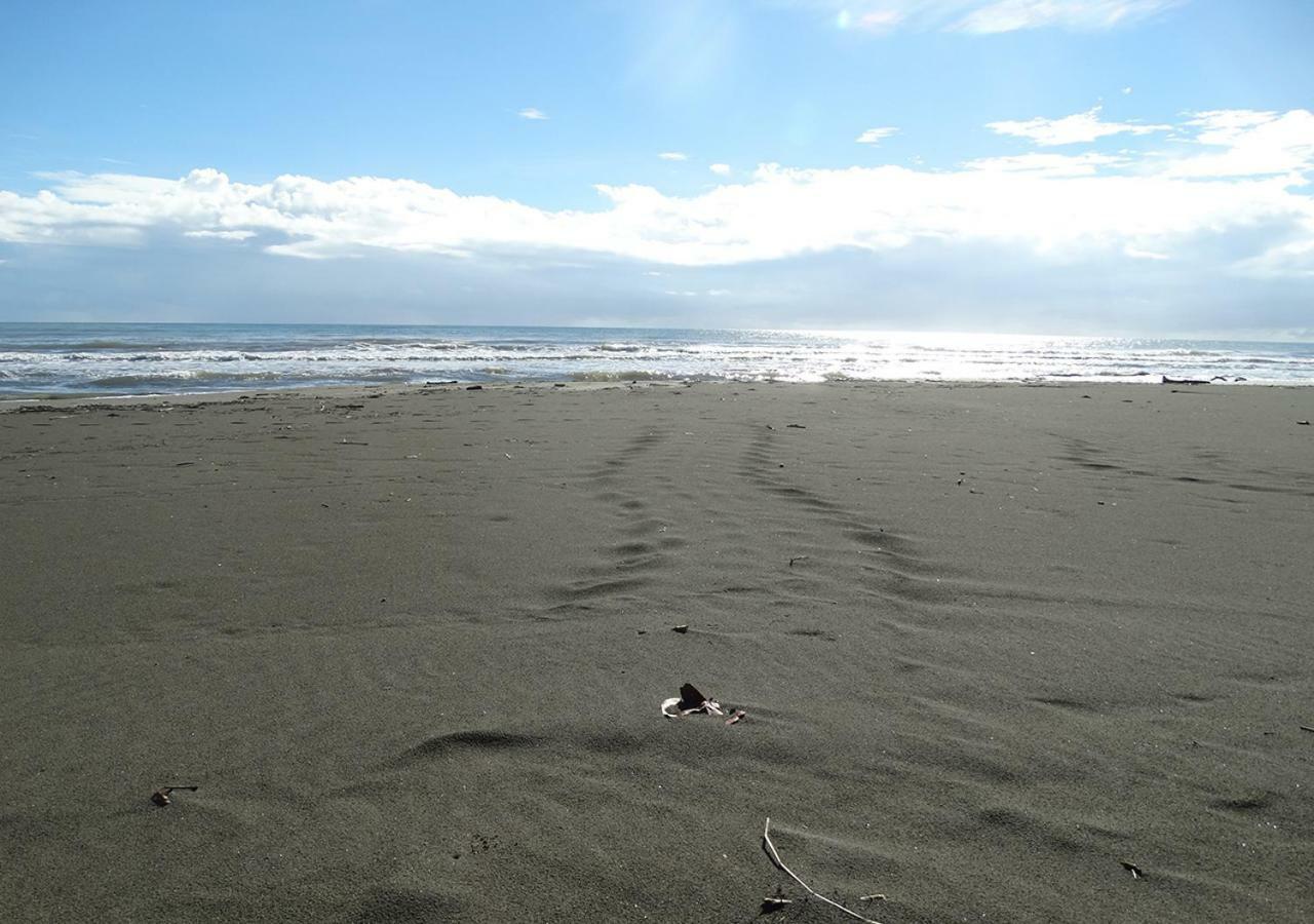 Playa Grande Lodge Cahuita Dış mekan fotoğraf